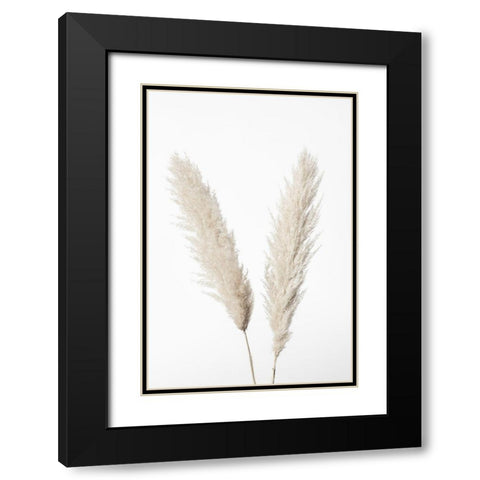 Pampas White Black Modern Wood Framed Art Print with Double Matting by 1x Studio III