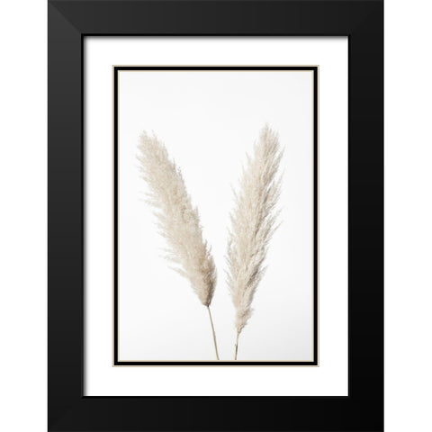 Pampas White Black Modern Wood Framed Art Print with Double Matting by 1x Studio III