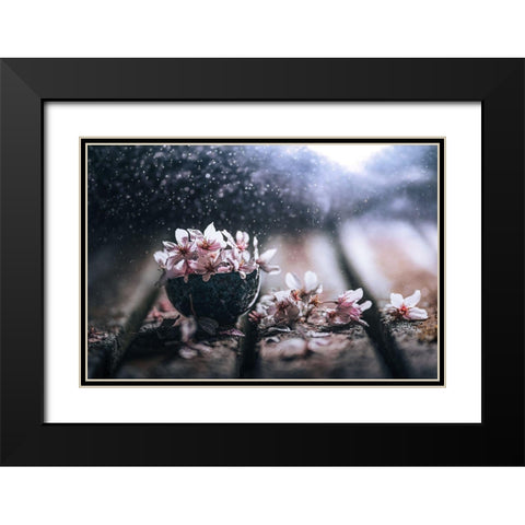 Spring In A Teacup Black Modern Wood Framed Art Print with Double Matting by Pu, Can