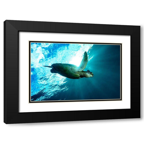 Into The Light Black Modern Wood Framed Art Print with Double Matting by Melesan, Serge