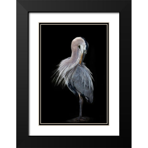 The Elegant Great Blue Heron Black Modern Wood Framed Art Print with Double Matting by D Lester, Linda