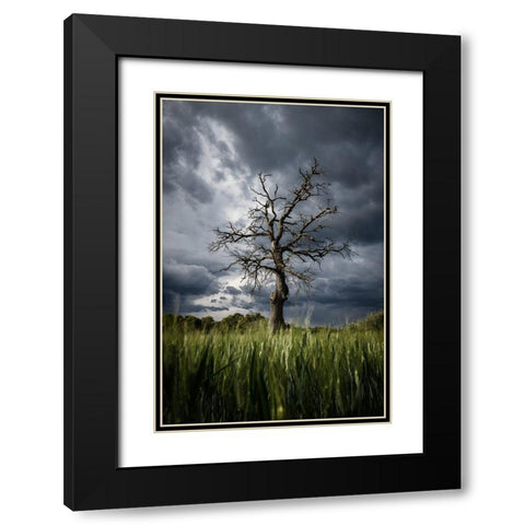 Stormy Weather Black Modern Wood Framed Art Print with Double Matting by Anton, Rostovskiy
