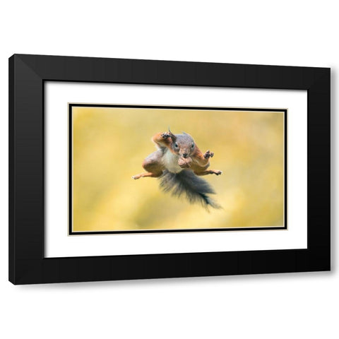 Ninja Style Black Modern Wood Framed Art Print with Double Matting by Colemont, Niki