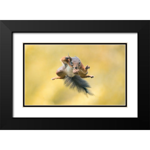 Ninja Style Black Modern Wood Framed Art Print with Double Matting by Colemont, Niki