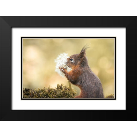 Make Wish Black Modern Wood Framed Art Print with Double Matting by Colemont, Niki