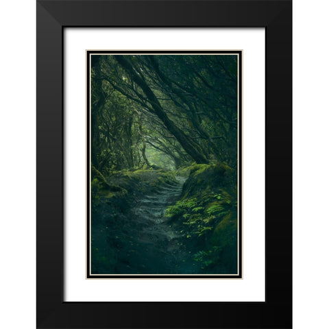 Entering Fangorn Black Modern Wood Framed Art Print with Double Matting by De La, Javier