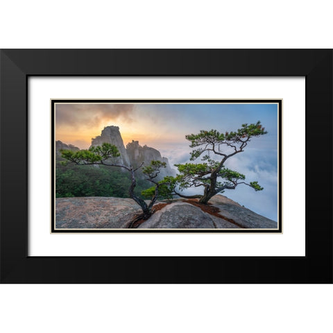 Dancing Trees Of Eden Black Modern Wood Framed Art Print with Double Matting by Ryu, Jaeyoun