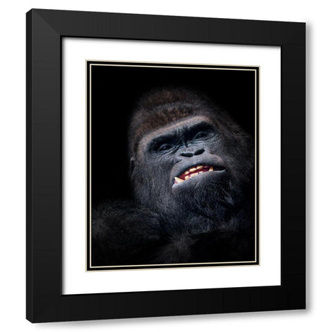 Gorilla Face Seen From Above Black Modern Wood Framed Art Print with Double Matting by Garcia, Helena