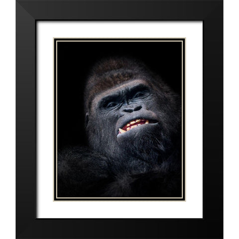 Gorilla Face Seen From Above Black Modern Wood Framed Art Print with Double Matting by Garcia, Helena
