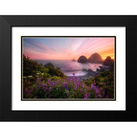 Sister Rocks With Lupin Blooms Black Modern Wood Framed Art Print with Double Matting by Q. Wu, Chong