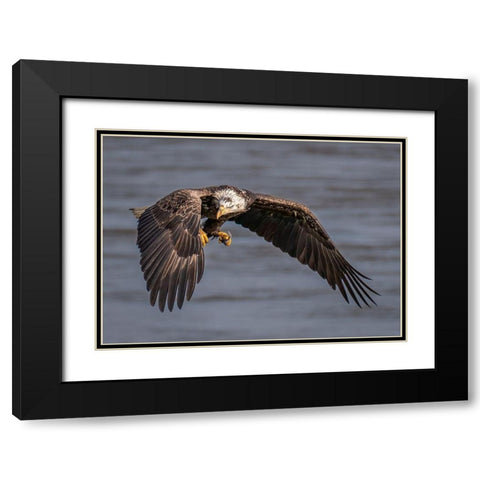 Terror Eyes Black Modern Wood Framed Art Print with Double Matting by J. Chen, John