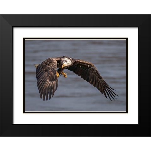 Terror Eyes Black Modern Wood Framed Art Print with Double Matting by J. Chen, John