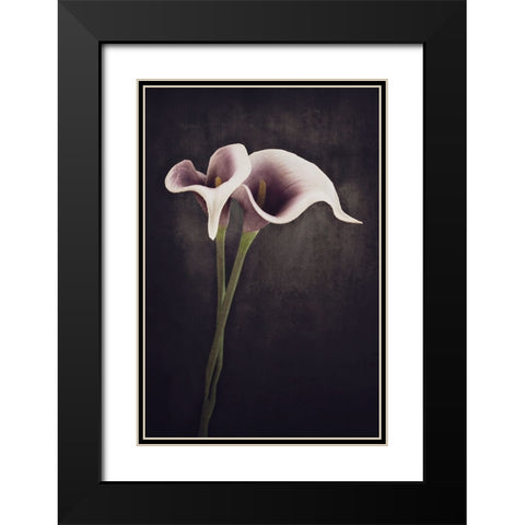 Bonded Black Modern Wood Framed Art Print with Double Matting by Kiral, Cicek