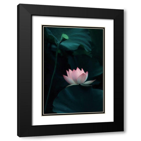 Lotus Flower Black Modern Wood Framed Art Print with Double Matting by W., Catherine