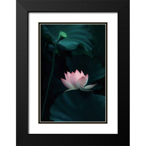 Lotus Flower Black Modern Wood Framed Art Print with Double Matting by W., Catherine