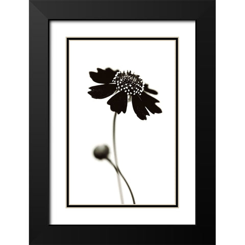 Once I Was A Black. Black Modern Wood Framed Art Print with Double Matting by Salem, Saad