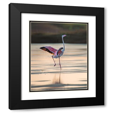 Dance Time Black Modern Wood Framed Art Print with Double Matting by Telhami, Isam