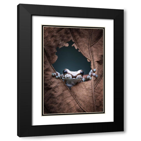 hello... Black Modern Wood Framed Art Print with Double Matting by Widyantini, Rini