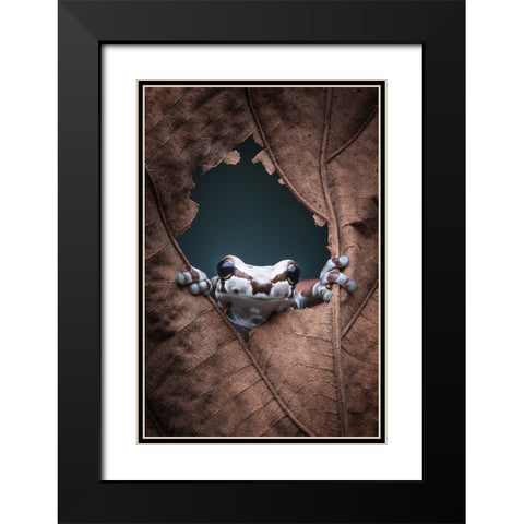 hello... Black Modern Wood Framed Art Print with Double Matting by Widyantini, Rini
