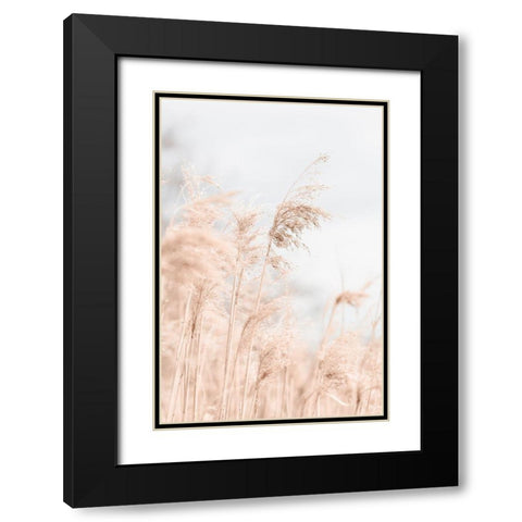 Grass Reed and sky_1 Black Modern Wood Framed Art Print with Double Matting by 1x Studio III
