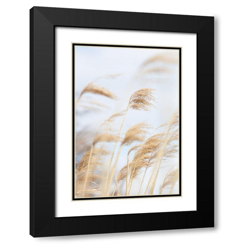 Grass Reed and sky_2 Black Modern Wood Framed Art Print with Double Matting by 1x Studio III
