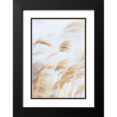 Grass Reed and sky_2 Black Modern Wood Framed Art Print with Double Matting by 1x Studio III