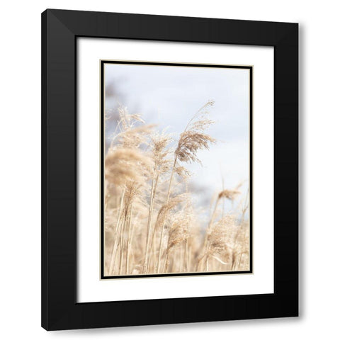 Grass Reed And Sky_3 Black Modern Wood Framed Art Print with Double Matting by 1x Studio III