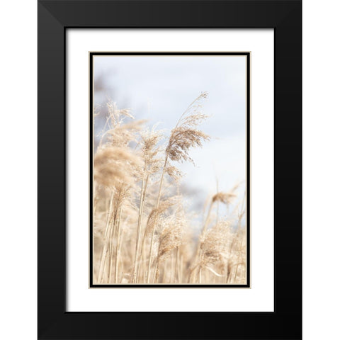 Grass Reed And Sky_3 Black Modern Wood Framed Art Print with Double Matting by 1x Studio III