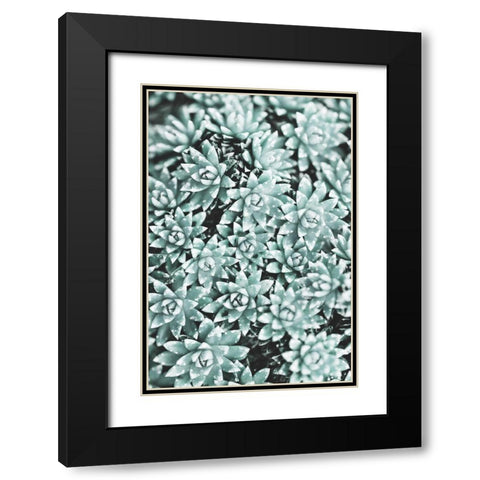 Plant Black Modern Wood Framed Art Print with Double Matting by 1x Studio III