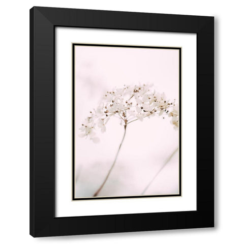 Soft dried flower_pink Black Modern Wood Framed Art Print with Double Matting by 1x Studio III