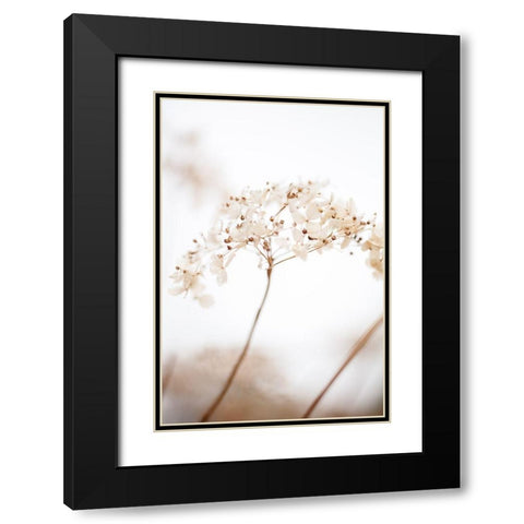 Soft Dried Flower_Brown Black Modern Wood Framed Art Print with Double Matting by 1x Studio III