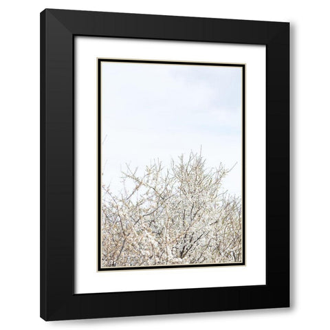 Cherry tree_1 Black Modern Wood Framed Art Print with Double Matting by 1x Studio III