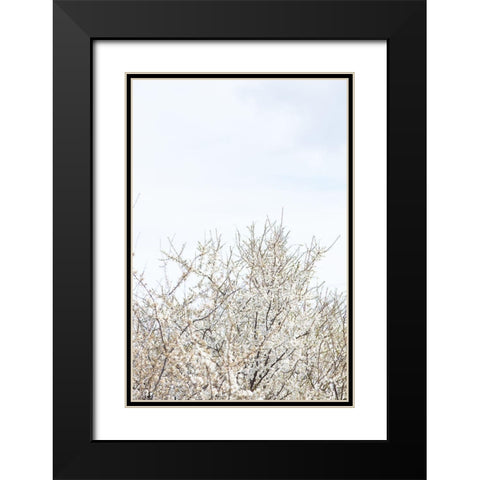 Cherry tree_1 Black Modern Wood Framed Art Print with Double Matting by 1x Studio III