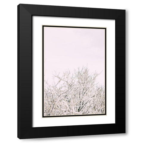 Cherry tree_2 Black Modern Wood Framed Art Print with Double Matting by 1x Studio III