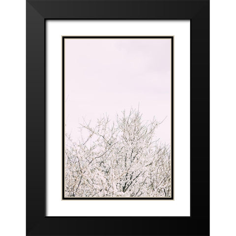 Cherry tree_2 Black Modern Wood Framed Art Print with Double Matting by 1x Studio III