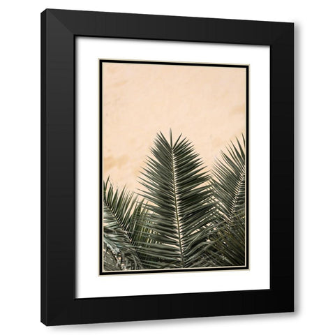 Palm Leaves And Wall_1 Black Modern Wood Framed Art Print with Double Matting by 1x Studio III