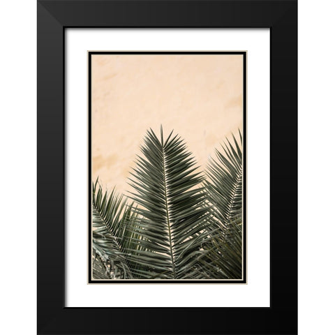 Palm Leaves And Wall_1 Black Modern Wood Framed Art Print with Double Matting by 1x Studio III