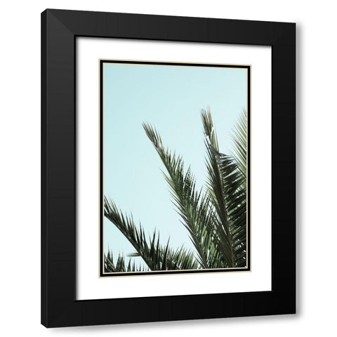 Palm leaves and sky_2 Black Modern Wood Framed Art Print with Double Matting by 1x Studio III
