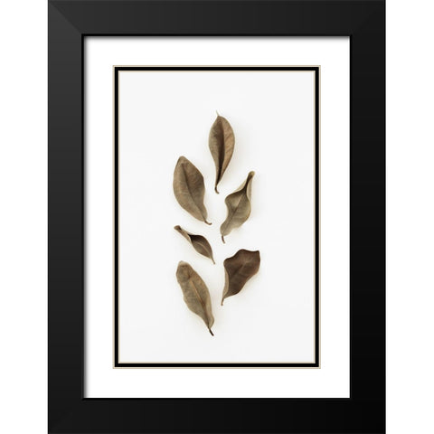 Dried Leaves_2 Black Modern Wood Framed Art Print with Double Matting by 1x Studio III