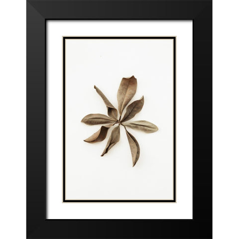 Dried Leaves_3 Black Modern Wood Framed Art Print with Double Matting by 1x Studio III