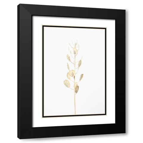 Solitary dried plant_light grey Black Modern Wood Framed Art Print with Double Matting by 1x Studio III