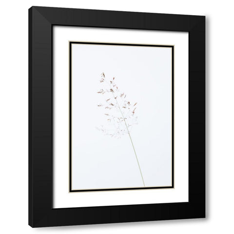 Single dried grass straw Black Modern Wood Framed Art Print with Double Matting by 1x Studio III