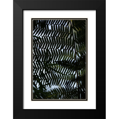 Fern Leaves_1 Black Modern Wood Framed Art Print with Double Matting by 1x Studio III
