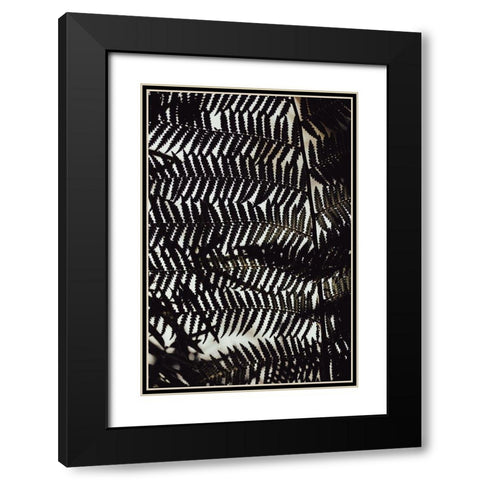 Fern Leaves_2 Black Modern Wood Framed Art Print with Double Matting by 1x Studio III