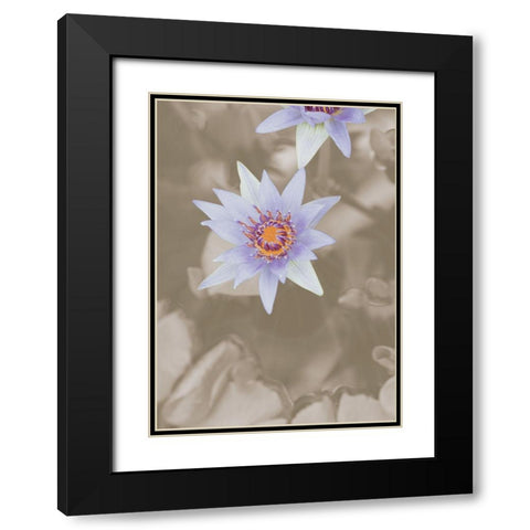 Purple Flower Black Modern Wood Framed Art Print with Double Matting by 1x Studio III