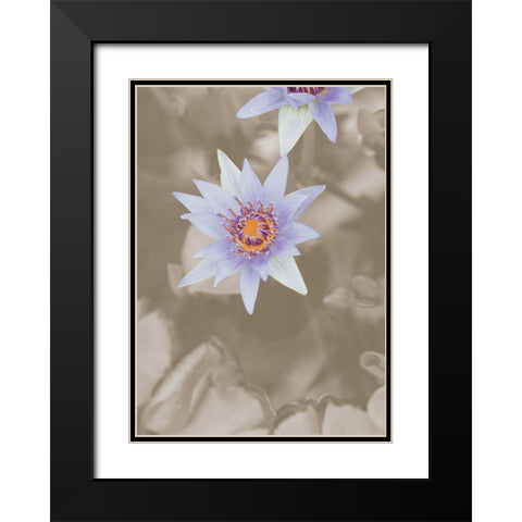 Purple Flower Black Modern Wood Framed Art Print with Double Matting by 1x Studio III
