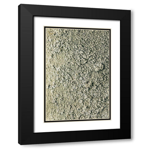 Moss Black Modern Wood Framed Art Print with Double Matting by 1x Studio III