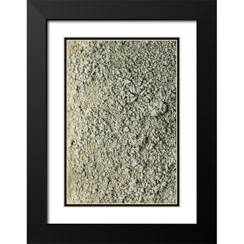 Moss Black Modern Wood Framed Art Print with Double Matting by 1x Studio III