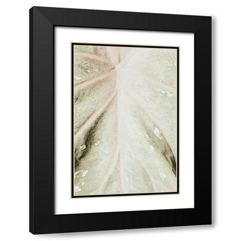 Light green leaf Black Modern Wood Framed Art Print with Double Matting by 1x Studio III