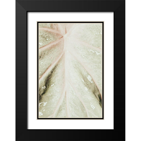 Light green leaf Black Modern Wood Framed Art Print with Double Matting by 1x Studio III